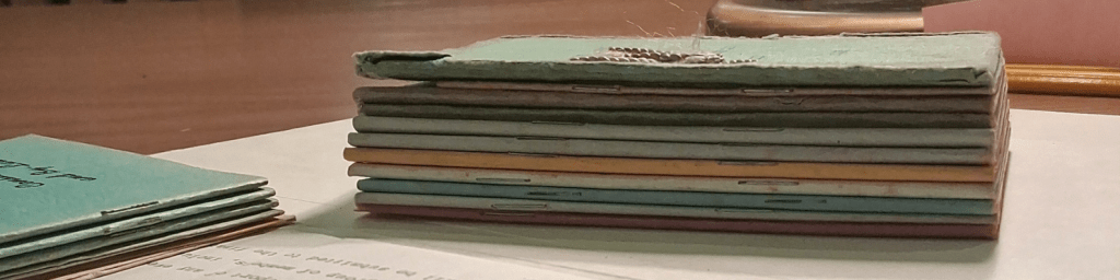 Week 12: Anansi’s Web – Resilience, Trickery, and Black&nbsp;Womanhood